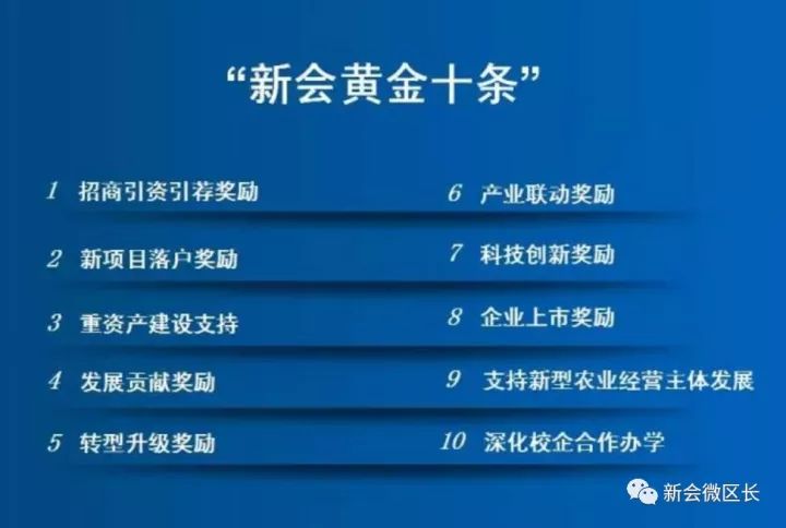 新澳2025年正版资料更新，全面释义、解释与落实,新澳2025年正版资料更新,全面释义、解释与落实