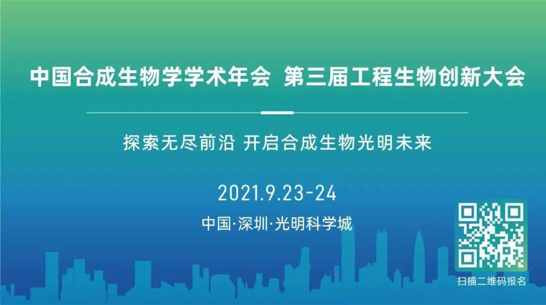 探索未来的新澳门与香港，正版免费正题下的构建释义、解释与落实,2025新澳门与香港正版免费正题,构建释义、解释与落实