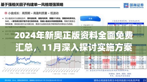 公开新澳2025最精准分析与落实策略详解,公开新澳2025最精准正最精准,详细解答、解释与落实