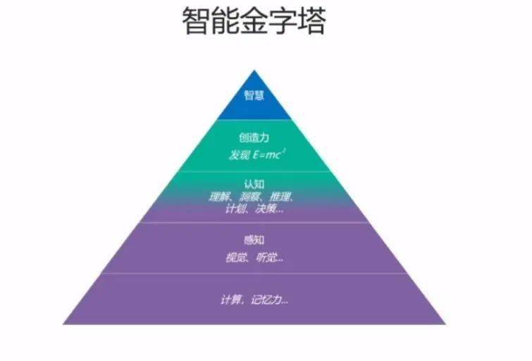 揭秘精准四肖，深度解读与实际应用探索,77778888精准四肖;全面释义、解释与落实