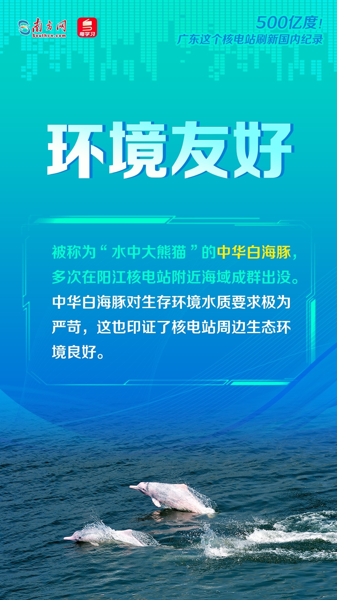 新澳2025资料大全免费，高效回顾方案与经典版内容解析,新澳2025资料大全免费,高效回顾方案_经典版