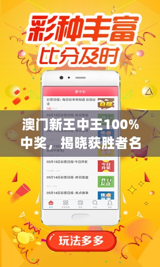 澳门王中王100%期期中，实用释义、解释与落实策略,澳门王中王100%期期中 实用释义、解释与落实