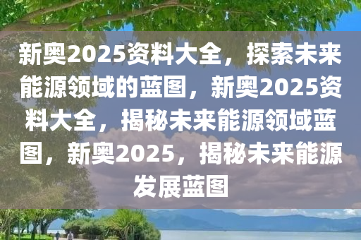 新奥资料网站2025，迈向数字化未来的蓝图,新奥资料网站2025,迈向数字化未来的蓝图