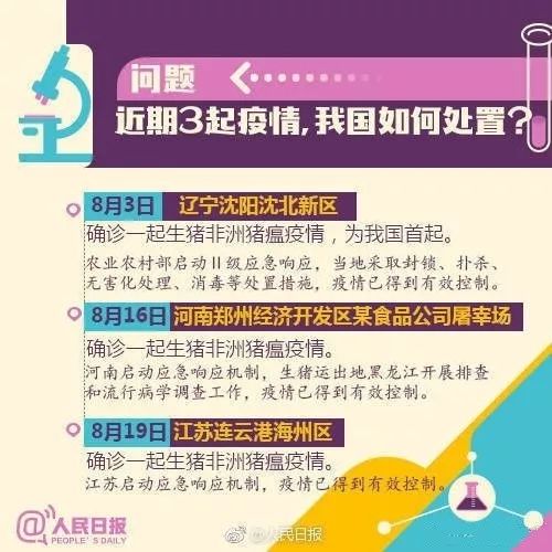 管家婆三期必出一期现象解析与综合解答落实方案,管家婆三期必出一期现象解析与综合解答落实方案