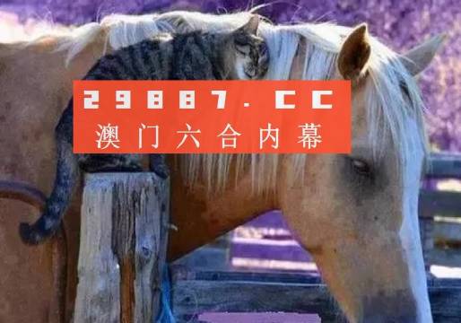 关于澳门特马今晚开奖的探讨与成语解释落实的重要性,4949澳门特马今晚开奖53期,确保成语解释落实的问题_尊享款