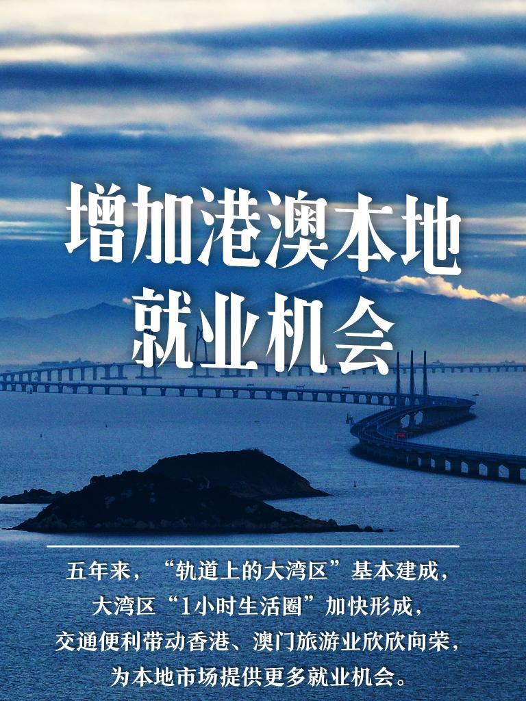 澳门与香港的未来展望，2025新澳门和香港天天免费精准精选解析、落实与策略,2025新澳门和香港天天免费精准精选解析、落实与策略