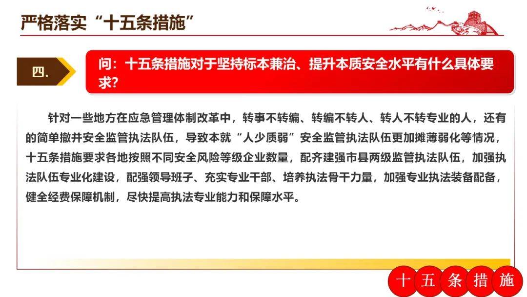 一肖一码一一肖一子，全面释义、解释与落实,一肖一码一一肖一子,全面释义、解释与落实