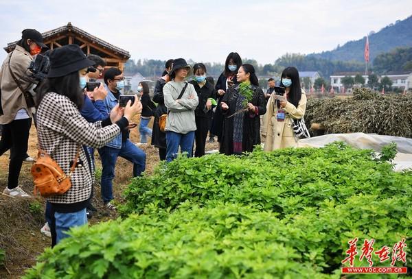 迈向未来，探索2025精准资料免费大全的深度价值与实践,2025精准资料免费大全.详细解答、解释与落实