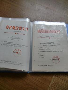 新奥精准精选免费资料提供与公证释义、解释及落实的全面解读,新奥精准精选免费资料提供,公证释义、解释与落实