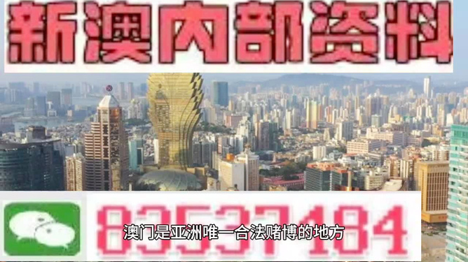 探索新澳门与香港的未来，2025年免费精准大全的展望与落实挑战,2025年新澳门和香港天天免费精准大全;仔细释义、解释与落实探索