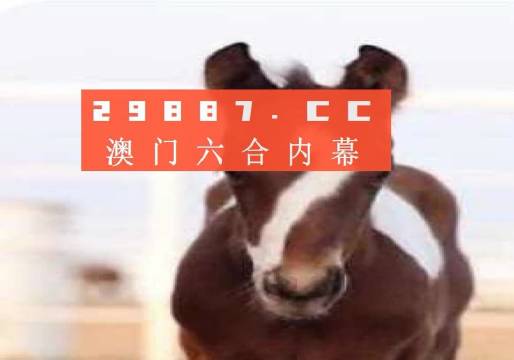 澳门一码一码精准全面释义、解释与落实,澳门一码一码100精准全面释义、解释与落实