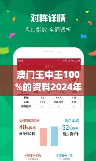 澳门王中王100%期期中，深度解析与实际应用,澳门王中王100%期期中 实用释义、解释与落实